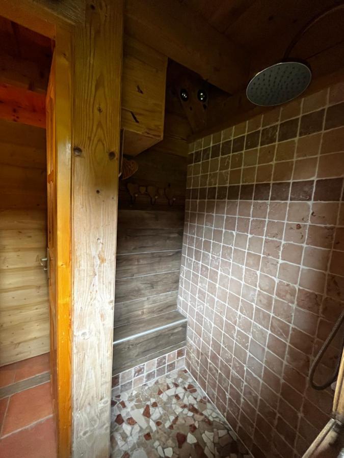 Chalet Le Pre De La Dame Epagny Metz-Tessy Exterior photo